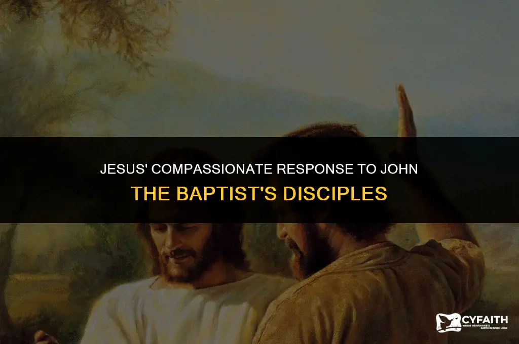 how did jesus respond to john the baptist
