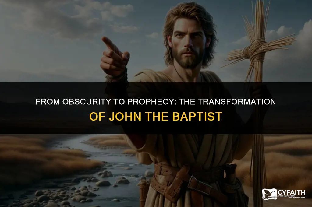 how did john become john the baptist