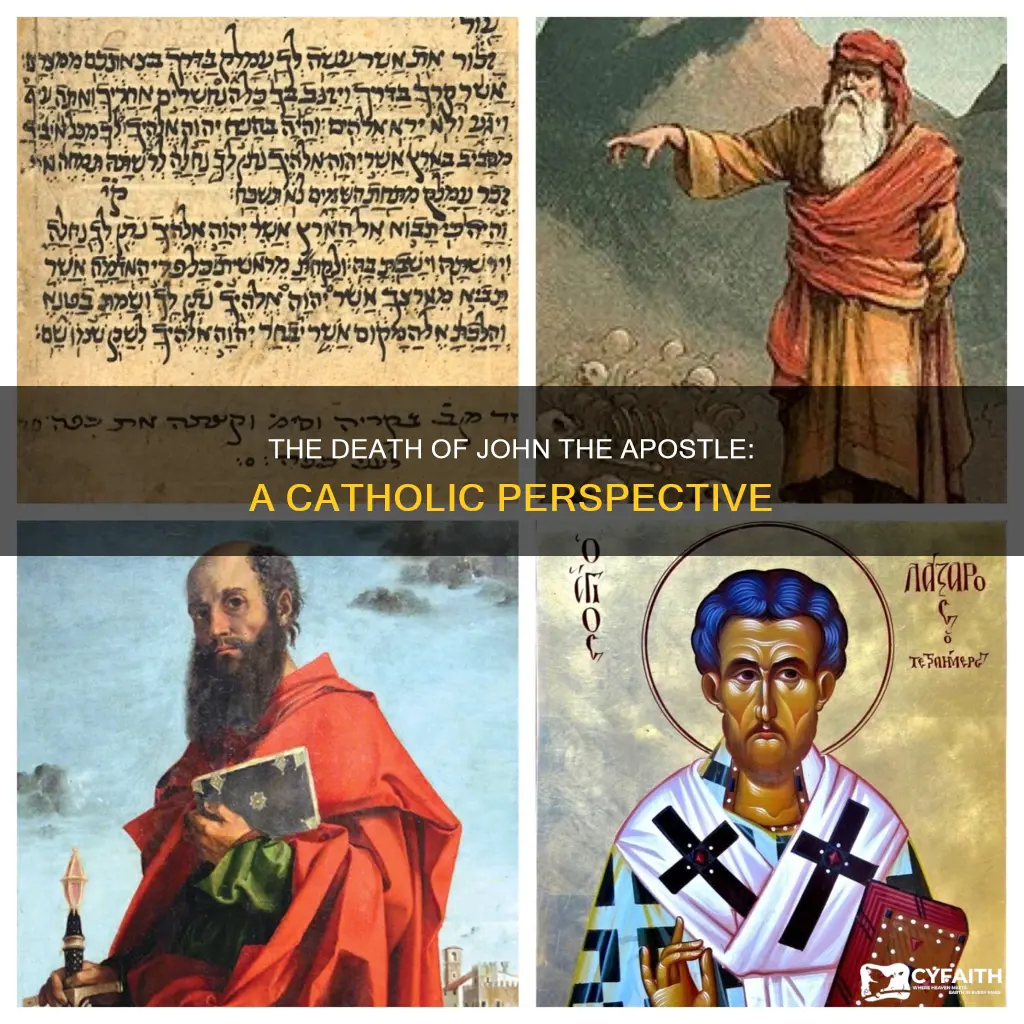 how did john the apostle die catholic