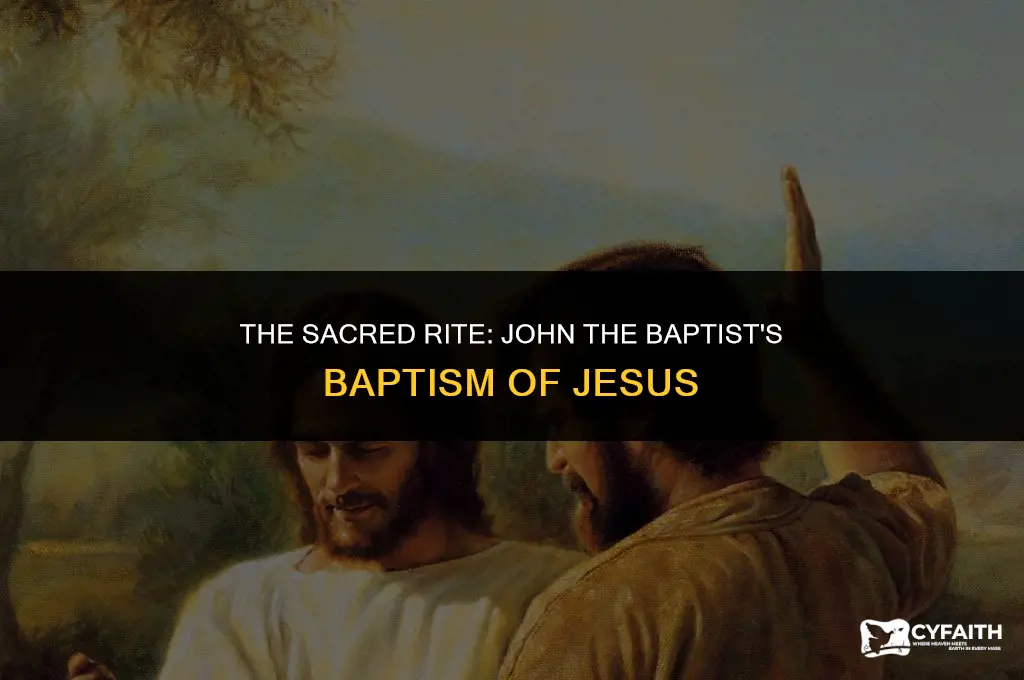 how did john the baptist baptized jesus