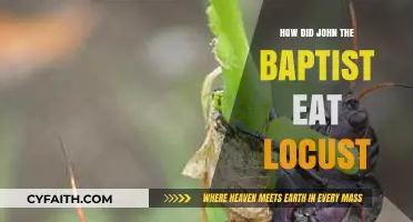 Savoring the Wilderness: John the Baptist's Locust Diet