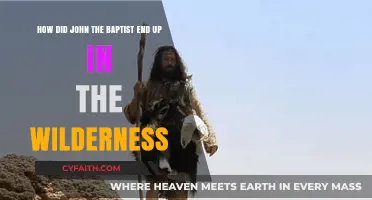 From Palace to Wilderness: The Journey of John the Baptist