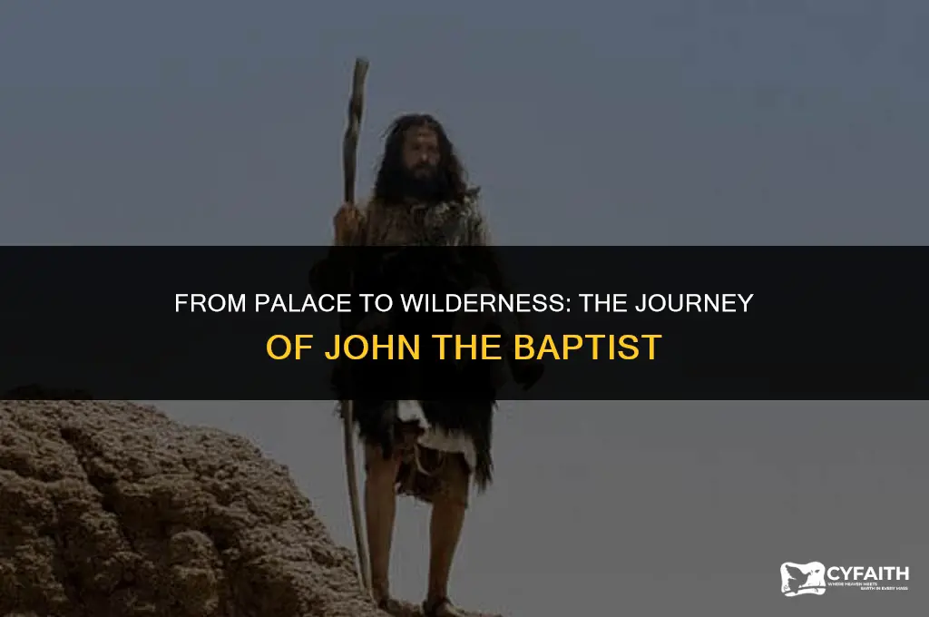how did john the baptist end up in the wilderness