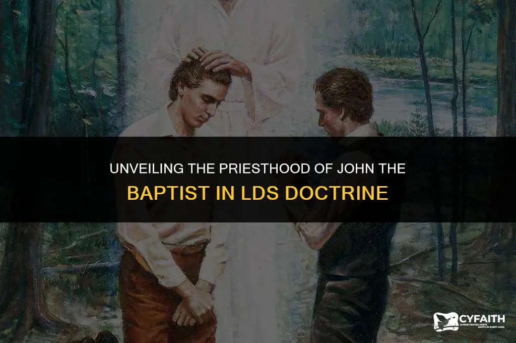 how did john the baptist get his priesthood lds