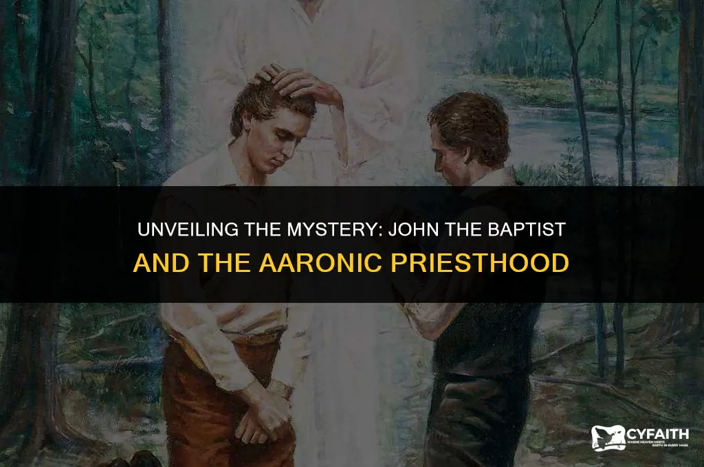 how did john the baptist get the aaronic priesthood