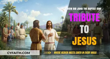 Echoes of Reverence: John the Baptist's Tribute to Jesus