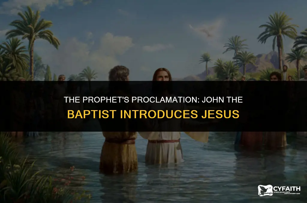 how did john the baptist introduces jesus
