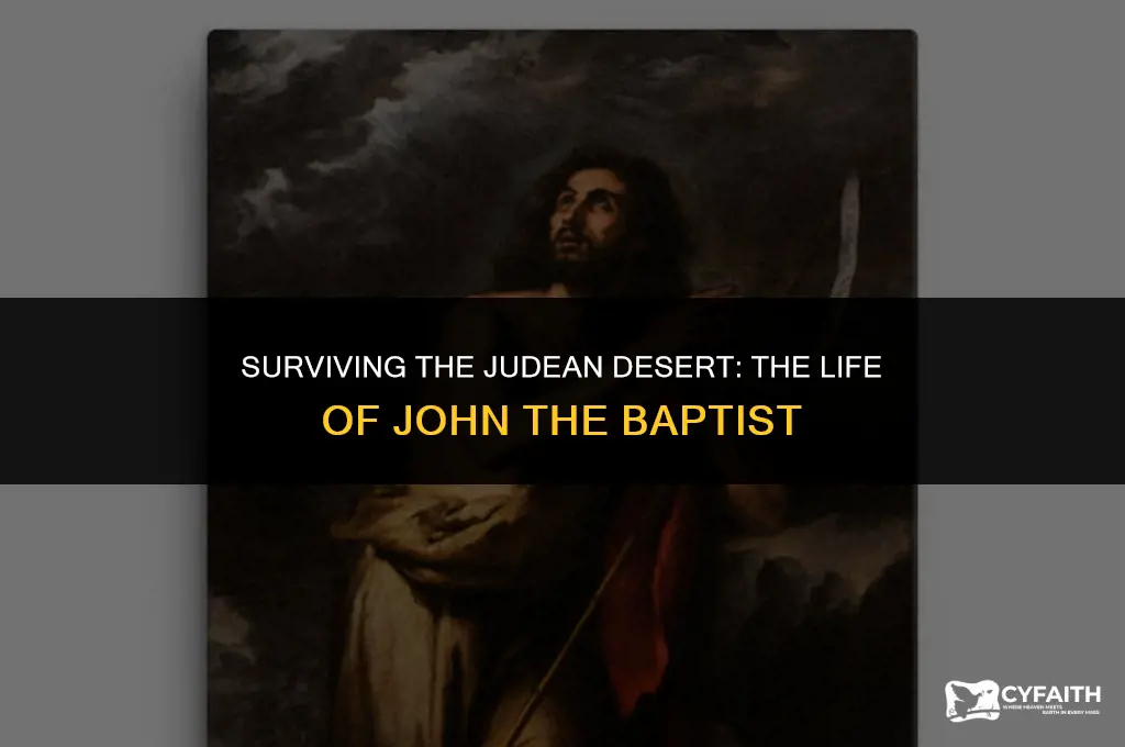 how did john the baptist live in the judean desert