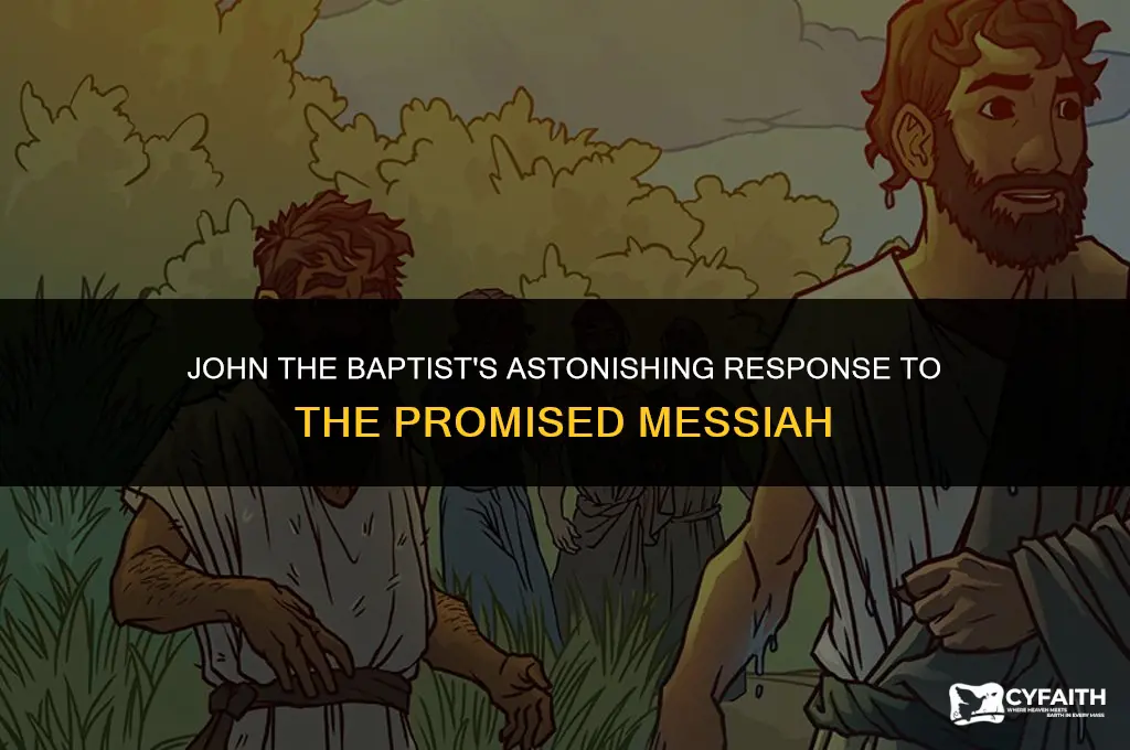 how did john the baptist react to the promised messiah