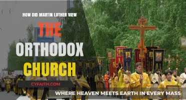 Martin Luther's Critique: Orthodox Church in Reformation Perspective