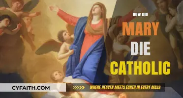 Mary's Dormition: Catholic Teachings on Her Passing and Assumption