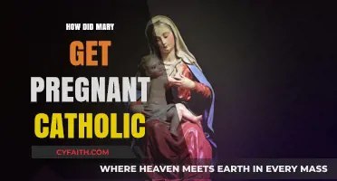 The Immaculate Conception: Mary's Pregnancy