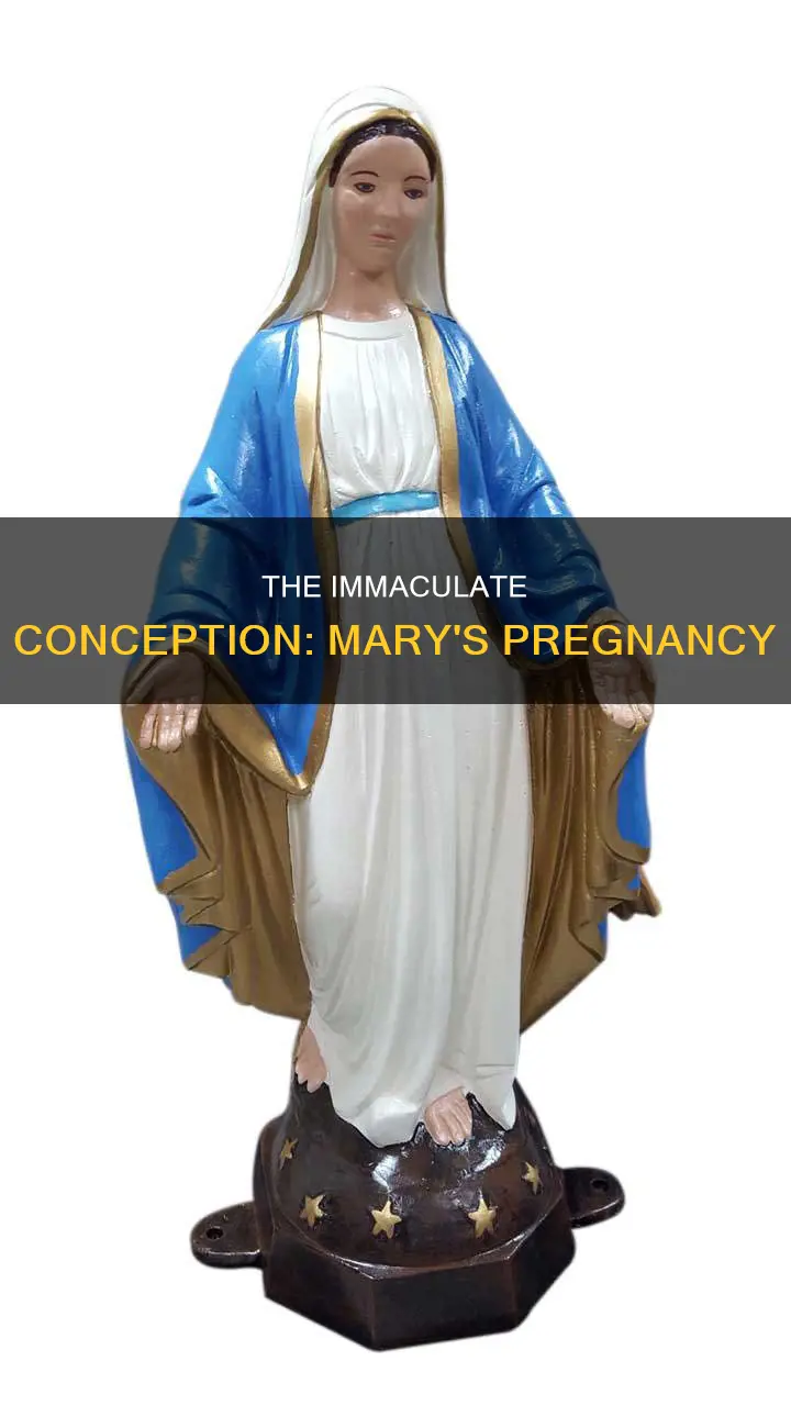 how did mary get pregnant catholic