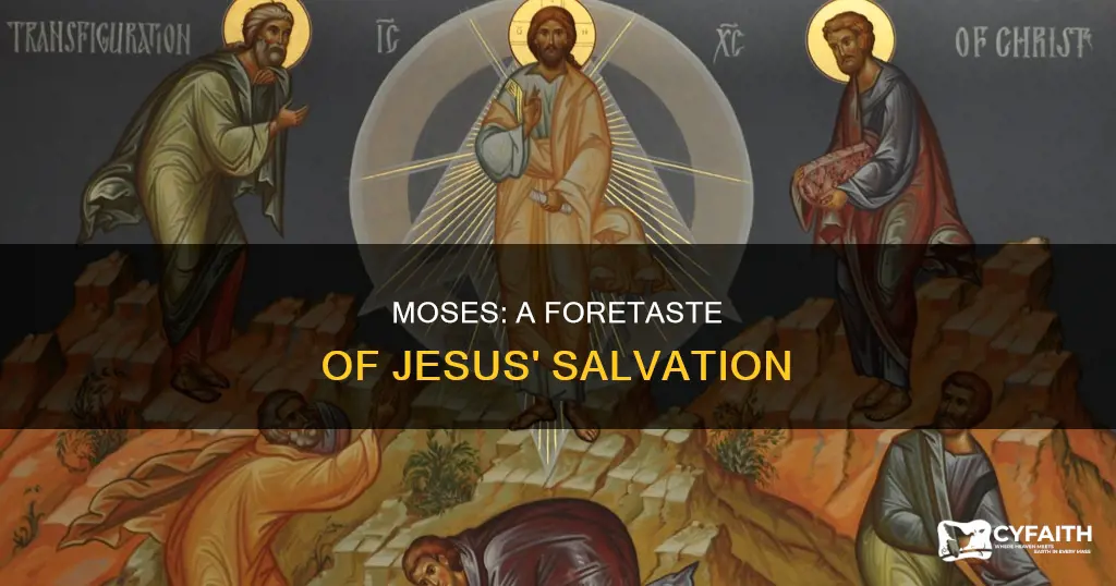 how did moses prefigure jesus catholic