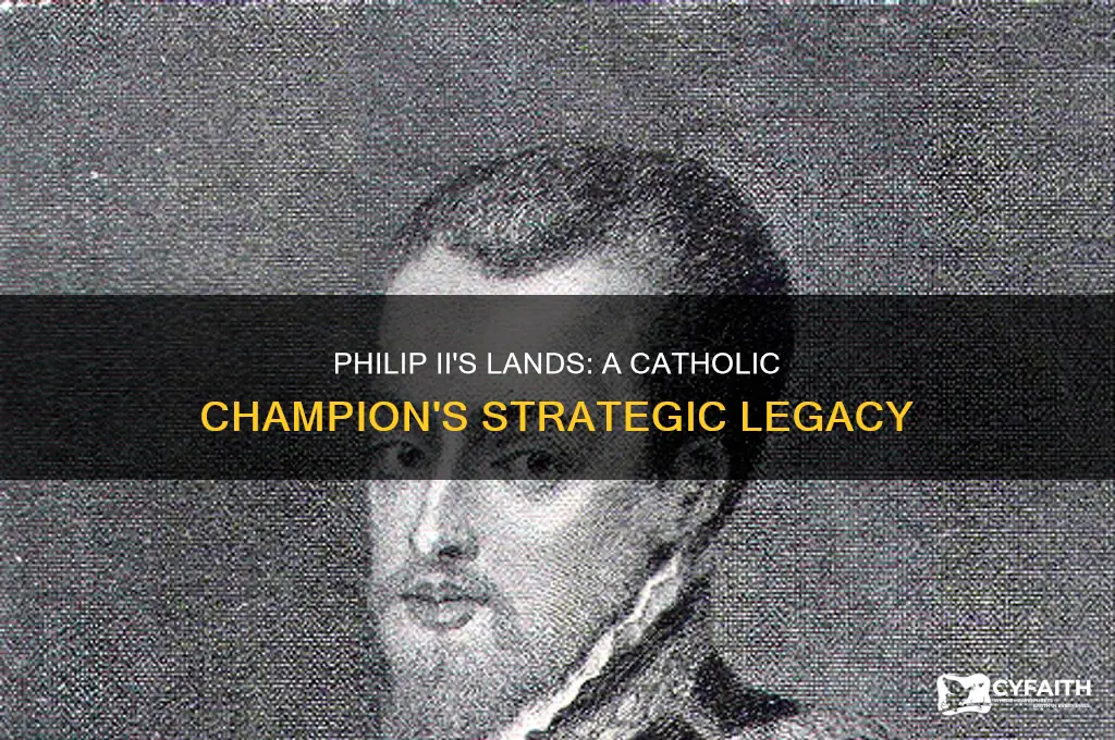 how did philip 2 championed catholic causes through his lans