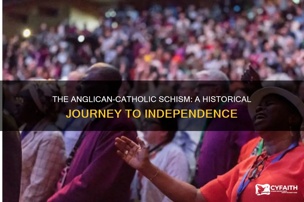 how did the anglican church split from the catholic church
