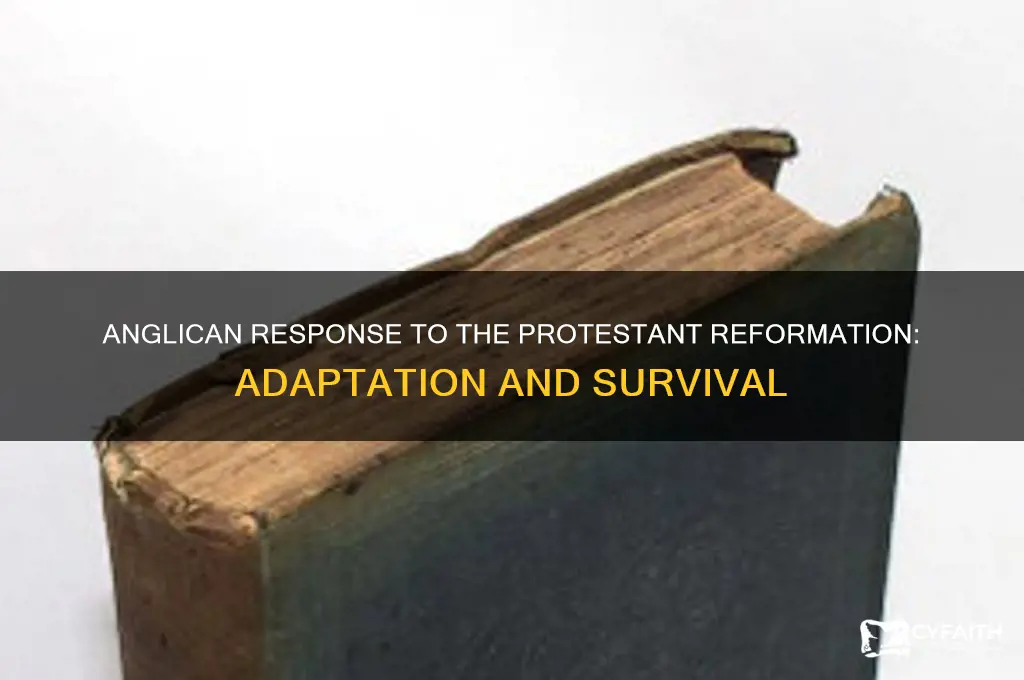 how did the anglican handle the protesant reformation