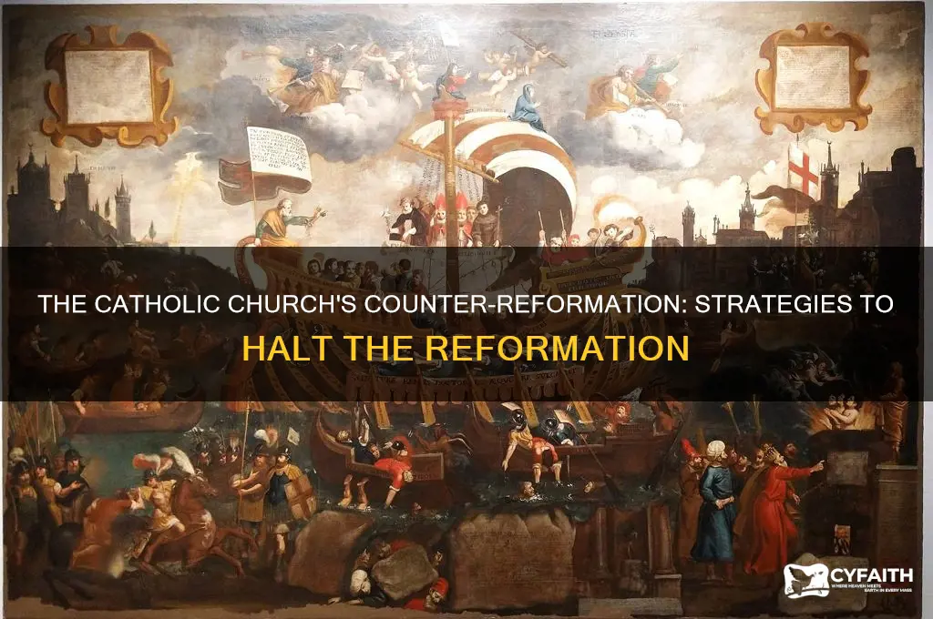 how did the catholic churh try and stop the reformatio