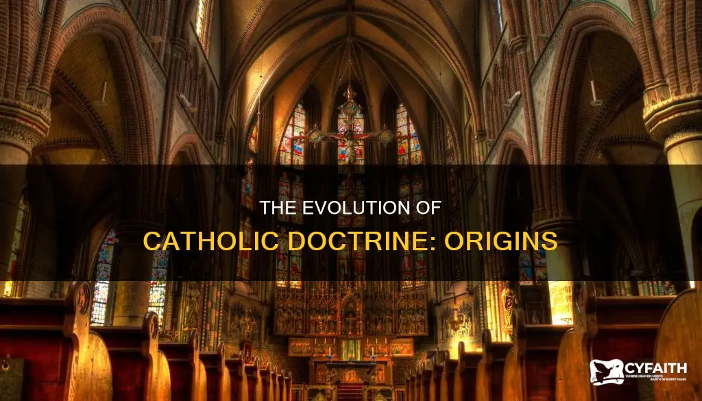 how did the catholic doctrine originate