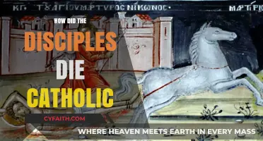 The Disciples' Catholic Deaths: How and Why?