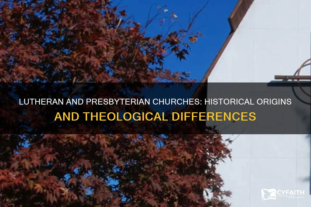 how did the lutheran church and the presbyterian church