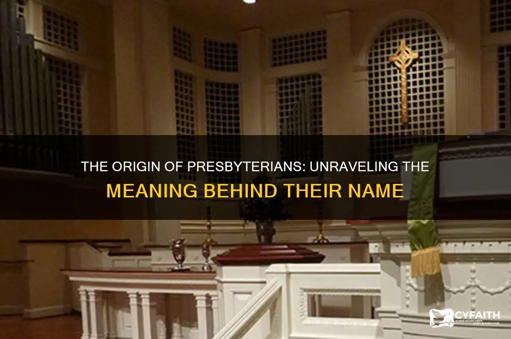 how did the presbyterians get the name presbyterian