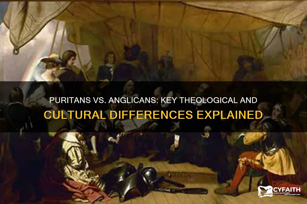how did the puritan different from anglican churches