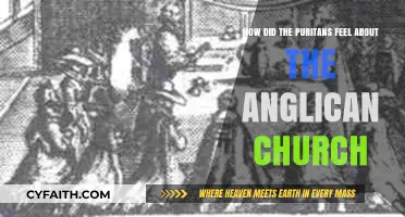Puritan Discontent: Their Struggles and Rejection of the Anglican Church