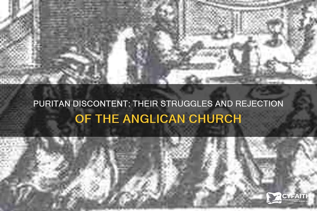 how did the puritans feel about the anglican church