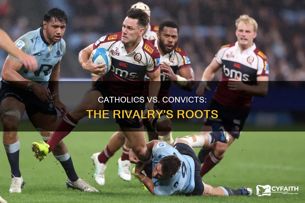 how did the rivalry catholics convicts start