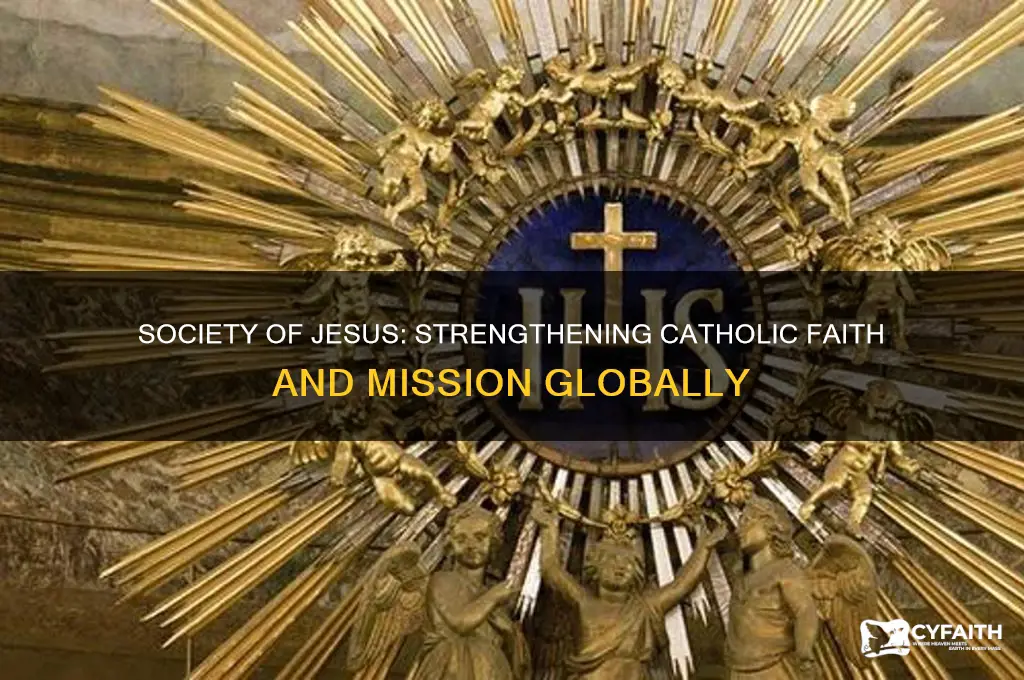 how did the society of jesus help the catholic