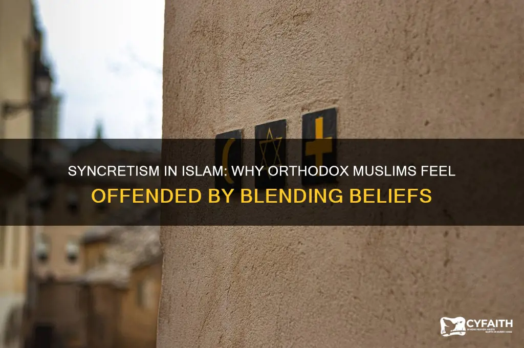 how did the syncretism of islam offend orthodox muslims