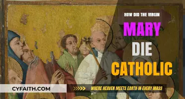 The Assumption of Mary: A Catholic Perspective
