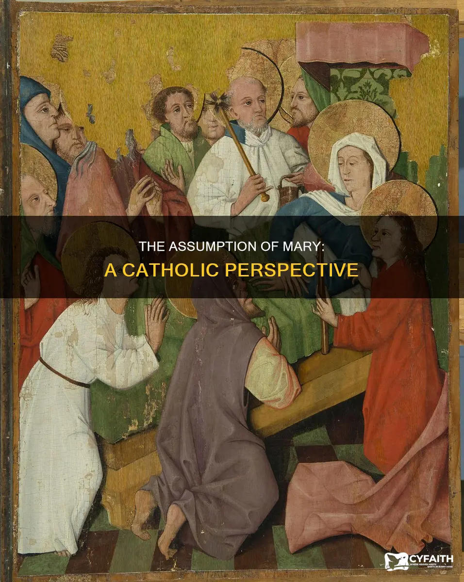 how did the virgin mary die catholic