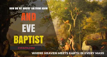 Inherited Sin: Understanding the Baptist Perspective on Adam and Eve's Legacy