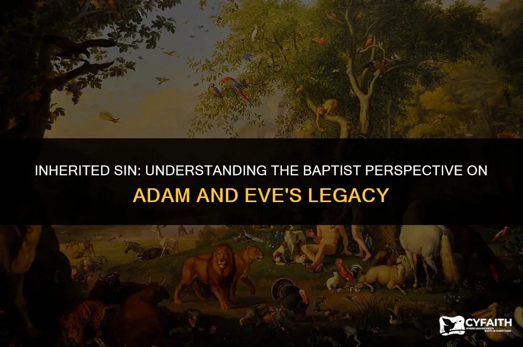 how did we inherit sin from adam and eve baptist