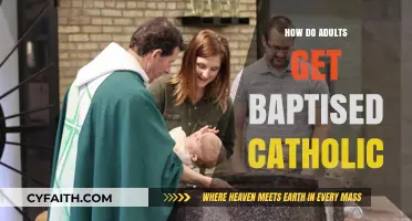 The Path to Catholic Baptism for Adults