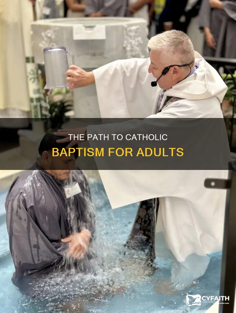 how do adults get baptised catholic