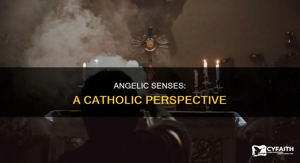 how do angelic beings sense things catholic