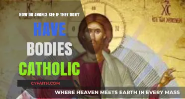 How Do Bodiless Angels Perceive the World in Catholic Theology?