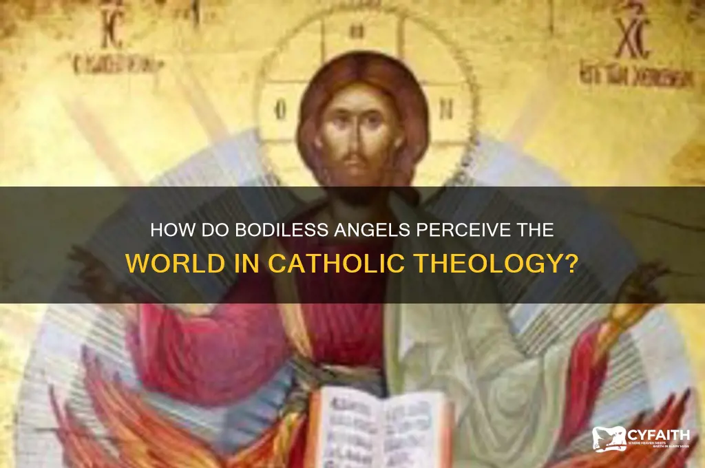 how do angels see if they don