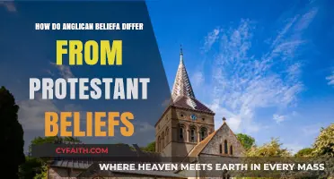 Anglican vs. Protestant: Key Theological and Practical Differences Explained