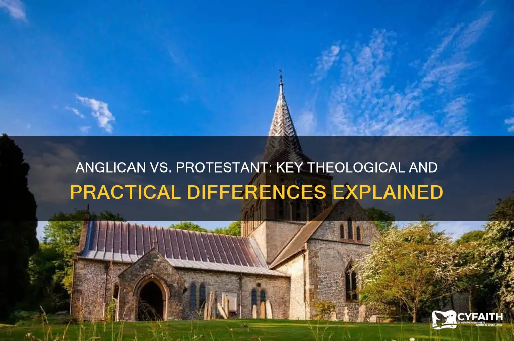 how do anglican beliefa differ from protestant beliefs