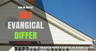 Exploring the Theological Distinctions Between Baptists and Evangelicals