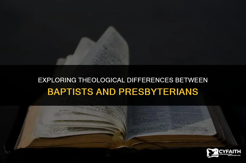 how do baptist and presbrtarians differ in theolgy
