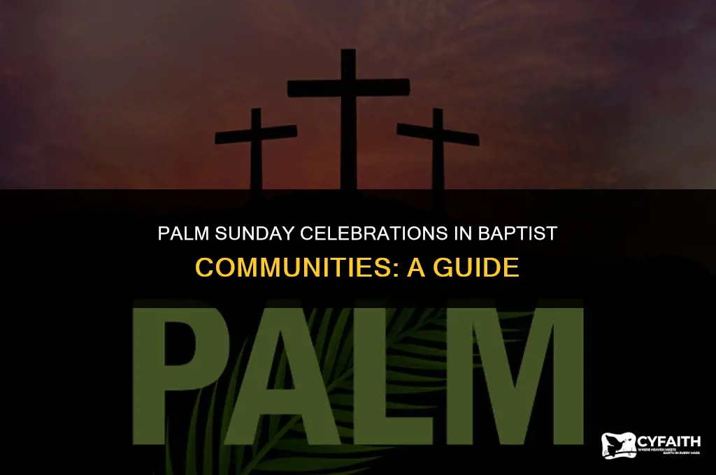 how do baptist celebrate palm sunday