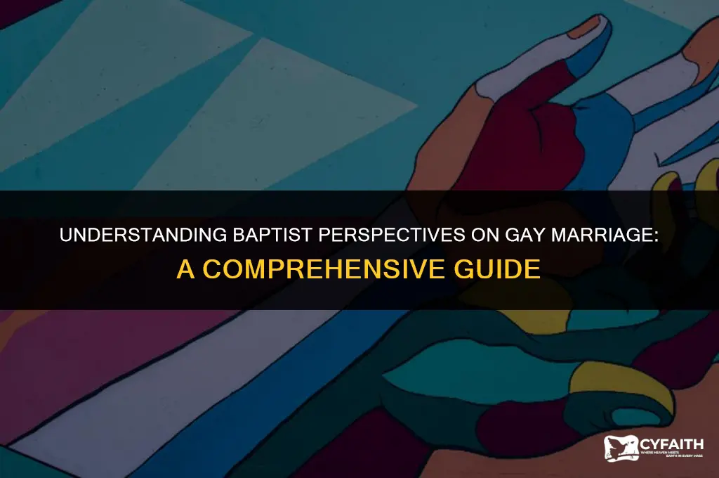 how do baptist feel about gay marriage