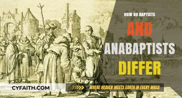 Exploring the Key Differences Between Baptists and Anabaptists