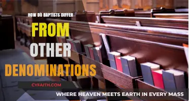Distinct Beliefs: How Baptists Stand Apart from Other Denominations
