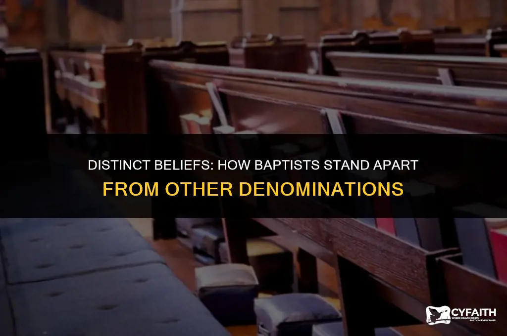 how do baptists differ from other denominations